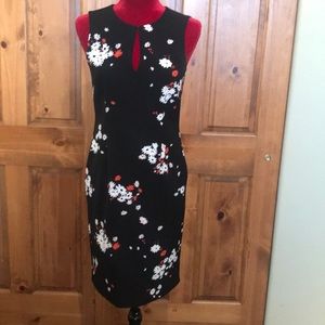 Ann Taylor shift dress